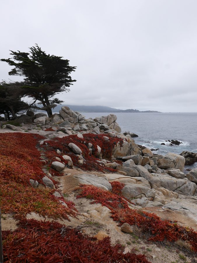 17 Mile Drive